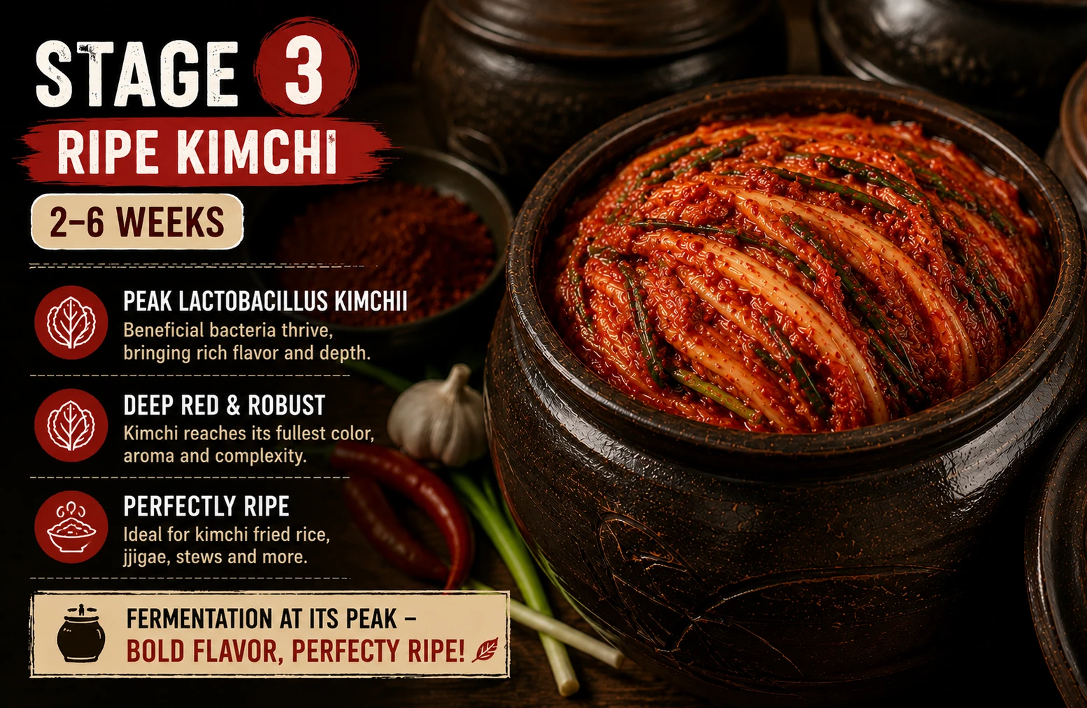 Stage 3 ripe kimchi 2–6 weeks — peak Lactobacillus kimchii, deep red colour, optimal for kimchi fried rice and jjigae