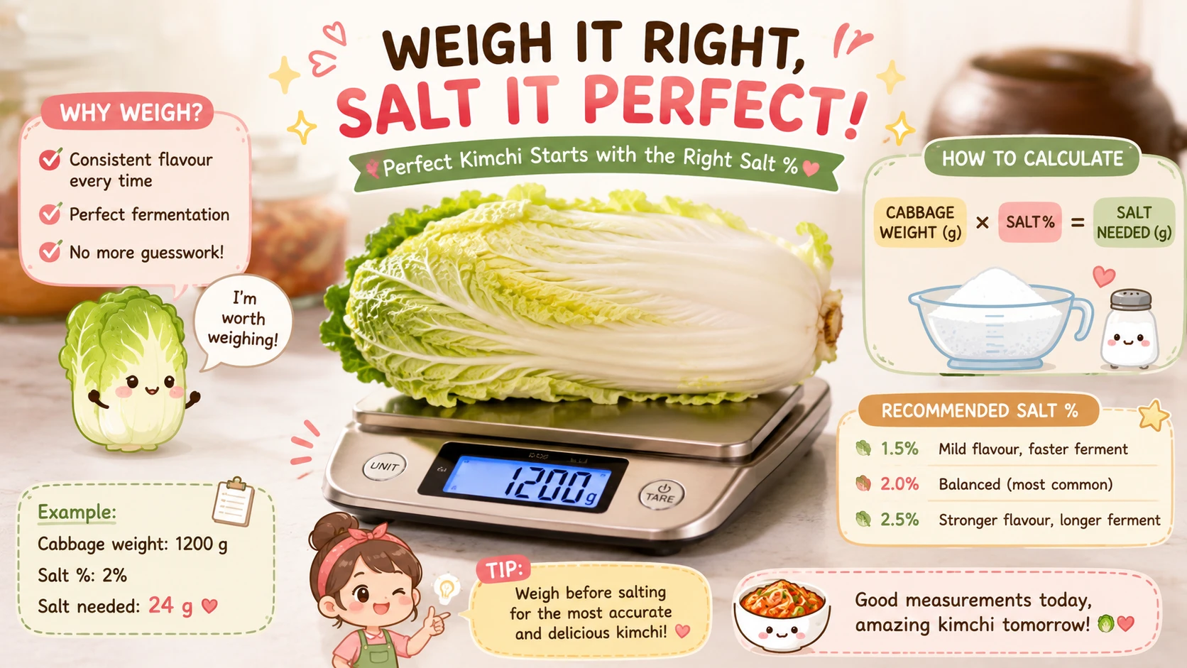 Napa cabbage being weighed on a kitchen scale to calculate the correct salt percentage for kimchi