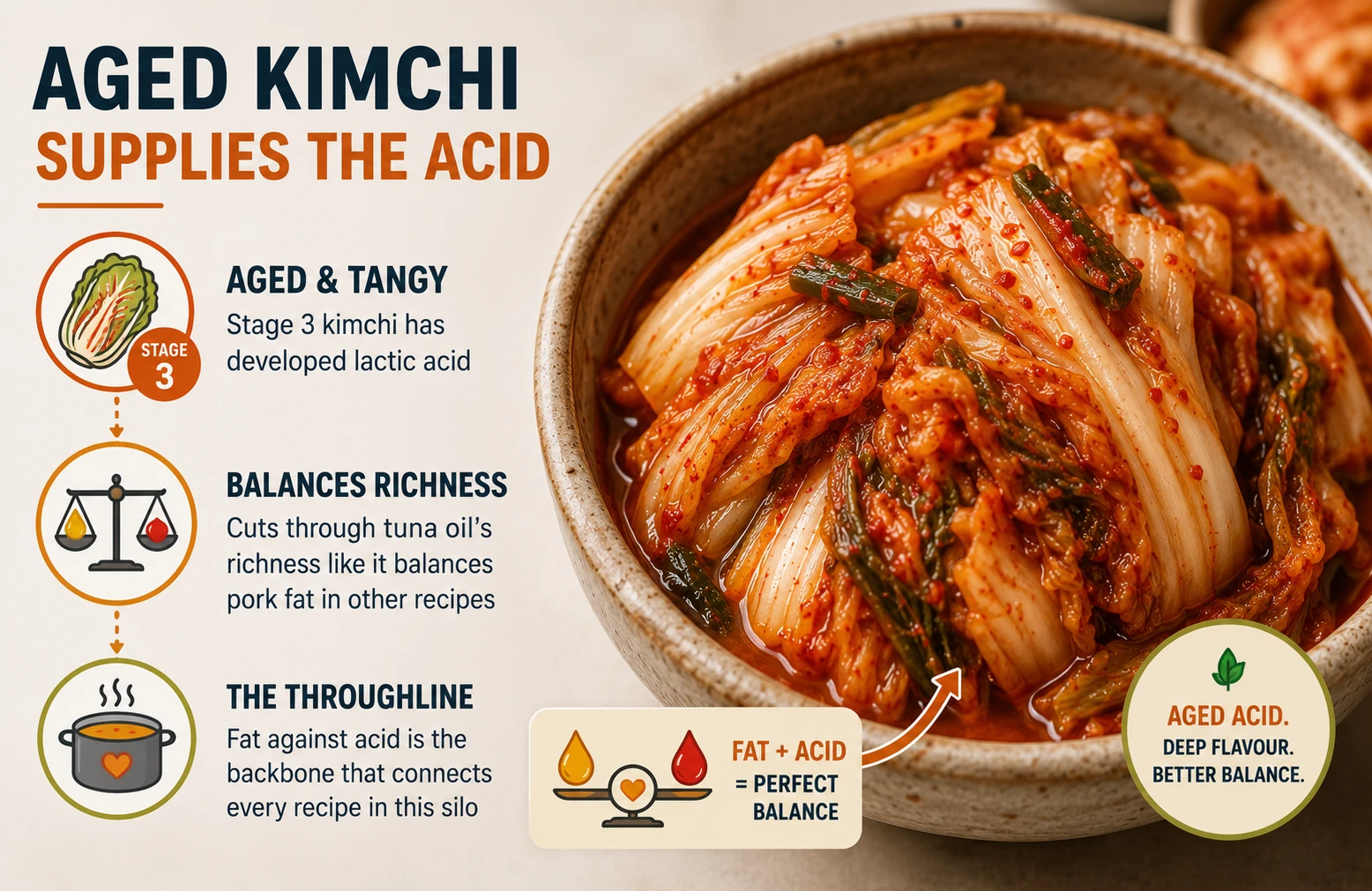 Aged Stage 3 kimchi close up for tuna kimchi jjigae