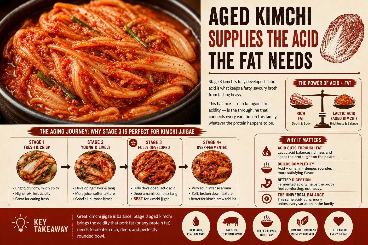 Aged Stage 3 kimchi close up for classic kimchi jjigae