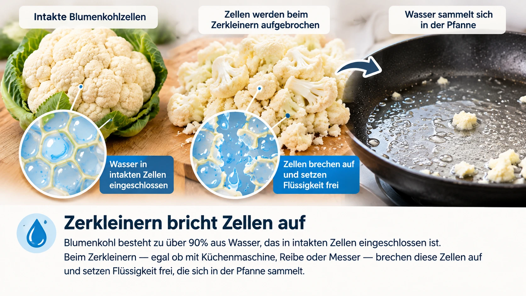 Blumenkohlzellen brechen beim Zerkleinern auf und setzen Wasser frei